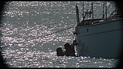 therumdiary02249.jpg