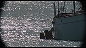 therumdiary02255.jpg