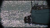 therumdiary02277.jpg
