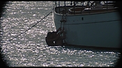 therumdiary02288.jpg