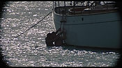 therumdiary02290.jpg