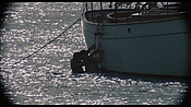 therumdiary02291.jpg