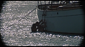 therumdiary02293.jpg