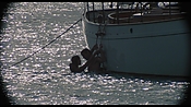 therumdiary02296.jpg