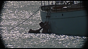 therumdiary02307.jpg