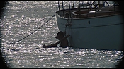 therumdiary02315.jpg