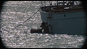 therumdiary02332.jpg