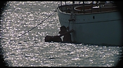 therumdiary02341.jpg
