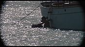 therumdiary02345.jpg