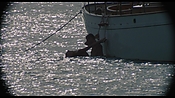 therumdiary02346.jpg