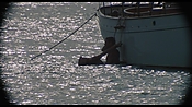 therumdiary02354.jpg