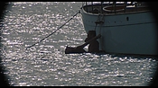 therumdiary02355.jpg