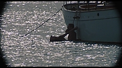 therumdiary02356.jpg