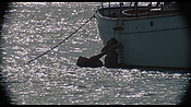 therumdiary02362.jpg