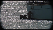 therumdiary02369.jpg