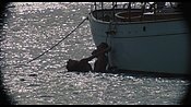 therumdiary02399.jpg