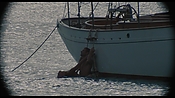 therumdiary02446.jpg