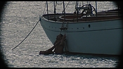 therumdiary02451.jpg
