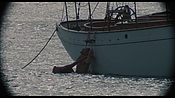 therumdiary02462.jpg