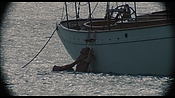 therumdiary02464.jpg