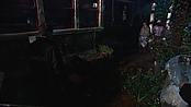 thestepfather_openhousemakingthefilm_2328.jpg