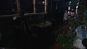thestepfather_openhousemakingthefilm_2331.jpg