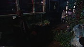 thestepfather_openhousemakingthefilm_2333.jpg
