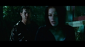 thestepfather15806.jpg