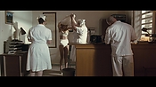 theward01855.jpg