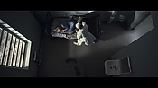 theward04468.jpg
