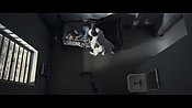 theward04470.jpg