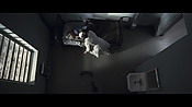 theward04478.jpg