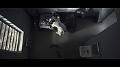 theward04494.jpg