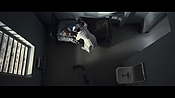 theward04496.jpg