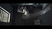 theward04500.jpg