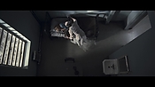 theward04503.jpg