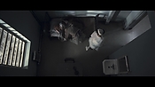 theward04515.jpg
