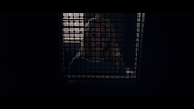 theward12461.jpg