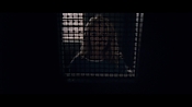 theward12462.jpg
