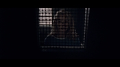 theward12463.jpg