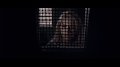 theward12475.jpg