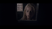 theward12490.jpg