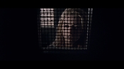 theward12492.jpg