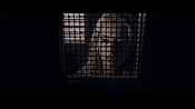 theward12493.jpg