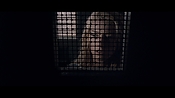 theward12494.jpg