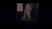 theward12496.jpg