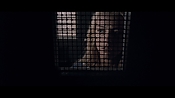 theward12506.jpg