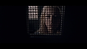 theward12533.jpg