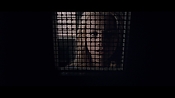 theward12540.jpg