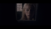 theward12568.jpg